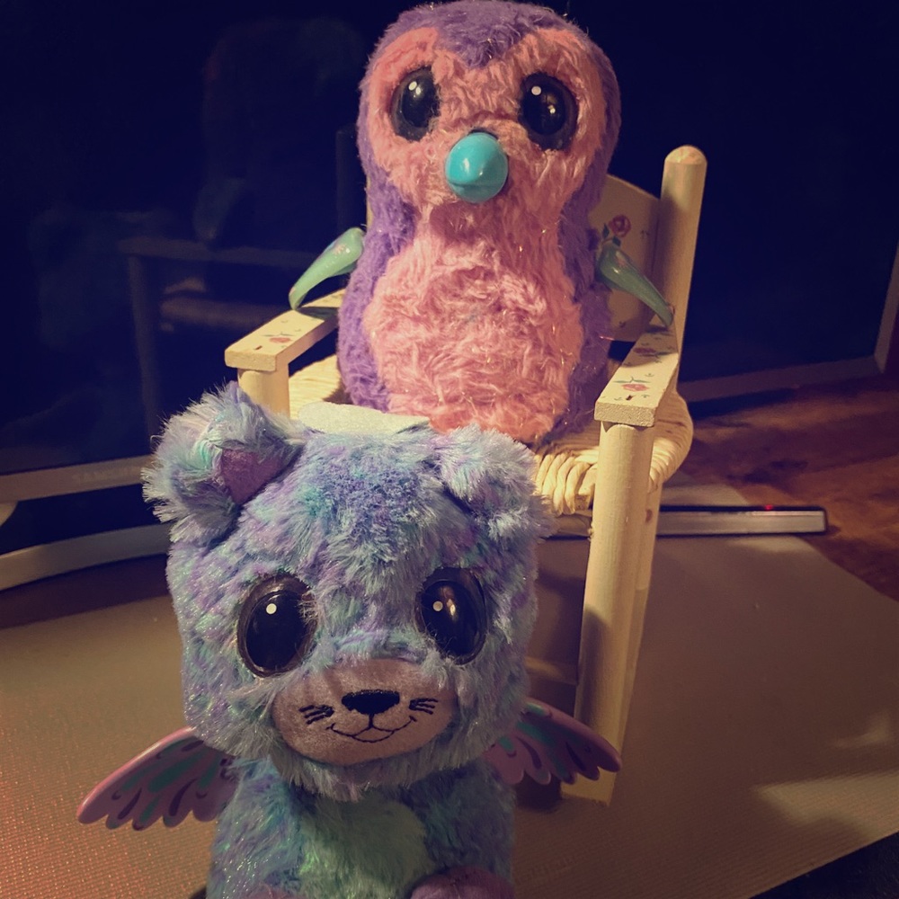 Kids Hatchimals